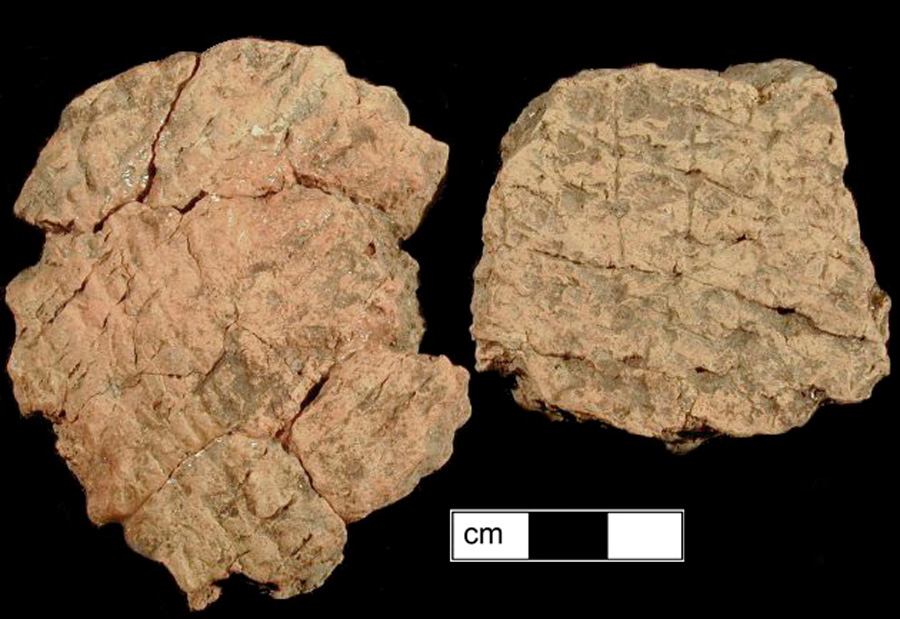 Image of ceramic, Grog Tempered Body with Net-Impressed Surface Treatment, Coulbourn type, Undecorated