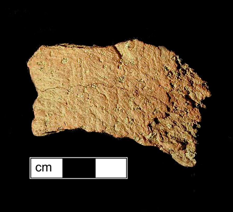 Image of ceramic, Hornblende/Gneiss Tempered Body with Cord-Marked Surface Treatment, Dame's Quarter type, Undecorated