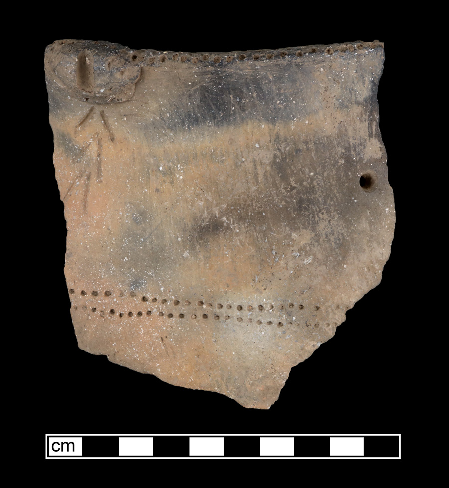 Image of ceramic, Shell Tempered Rim with Cord-Marked/Smoothed Surface Treatment, Keyser type, Punctate; Incised; Lug Handle
