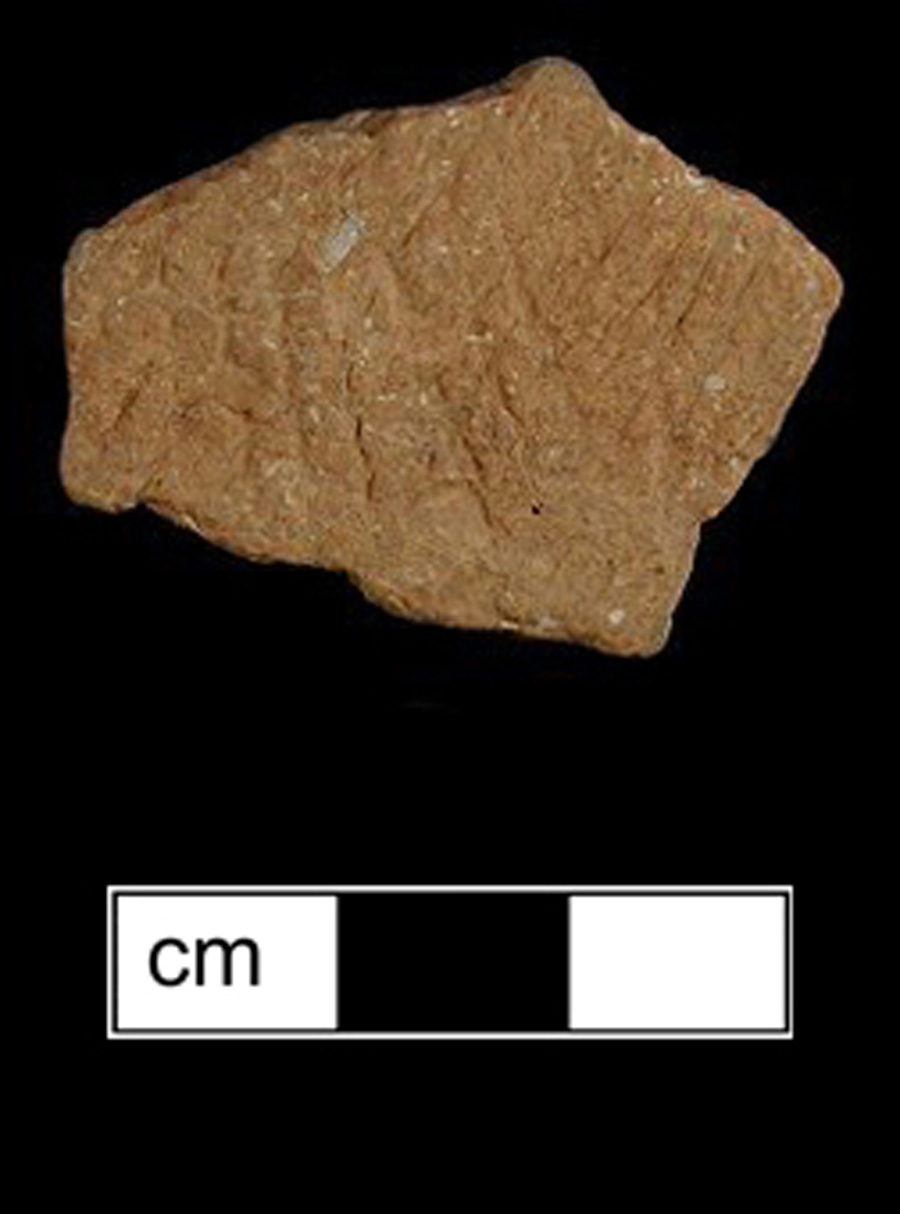 Image of ceramic, Shell Tempered Body with Cord-Marked Surface Treatment, Keyser type, Undecorated