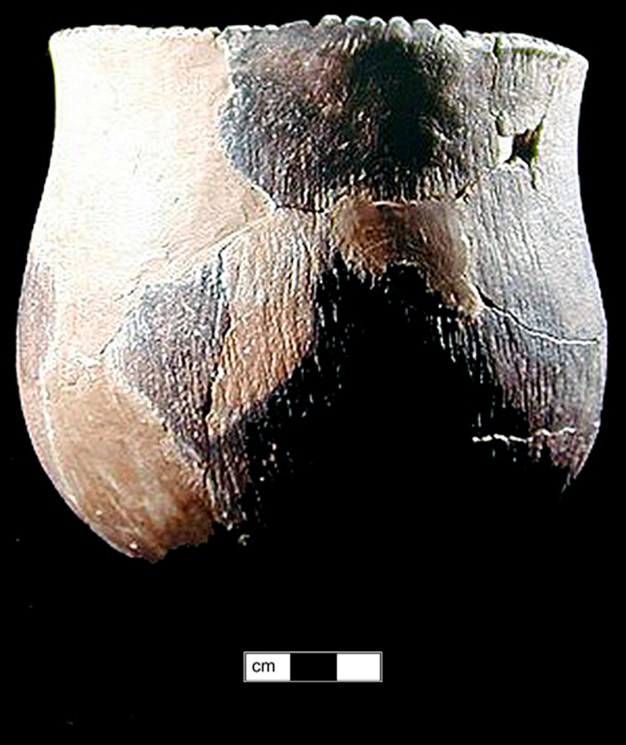 Image of ceramic, Shell Tempered Mended Vessel with Cord-Marked Surface Treatment, Keyser type, Notched