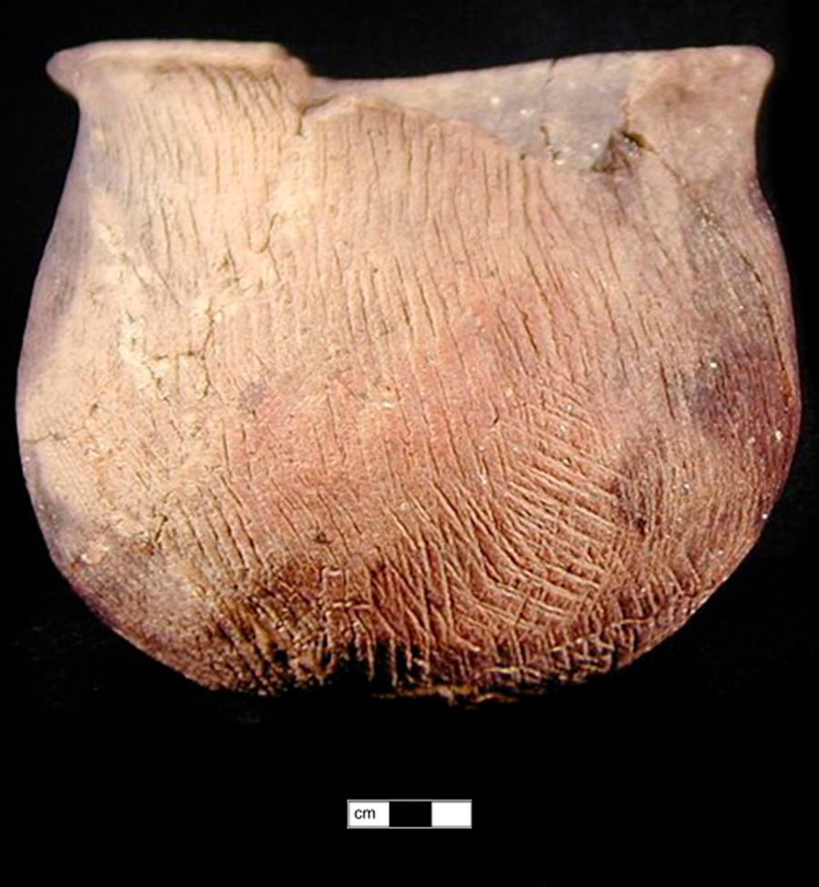 Image of ceramic, Shell Tempered Mended Vessel with Cord-Marked Surface Treatment, Keyser type, Undecorated