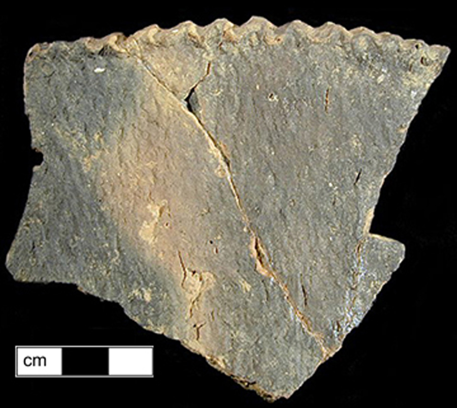 Image of ceramic, Shell Tempered Mended Rim with Cord-Marked Surface Treatment, Keyser type, Notched