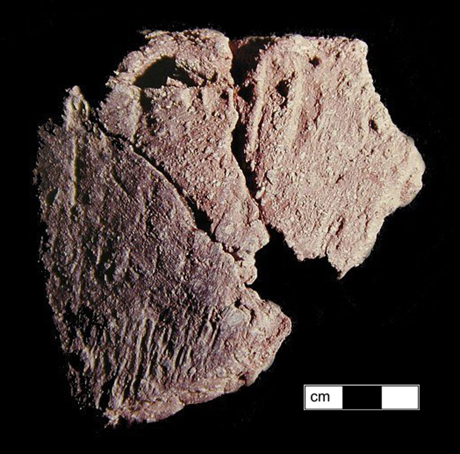 Image of ceramic, Steatite Tempered Mended Body/Rim with Plain/Smoothed Surface Treatment, Marcey Creek type, Undecorated
