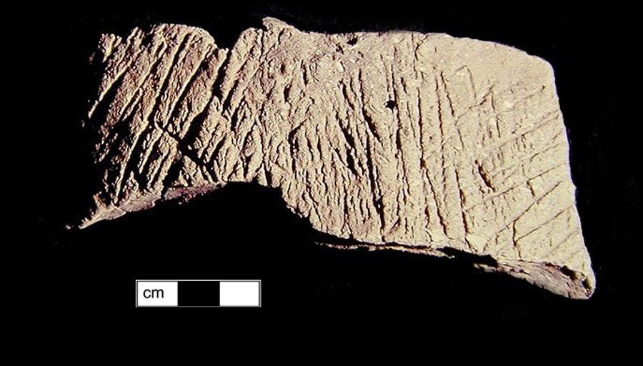 Image of ceramic, Shell Tempered Rim with Cord-Marked Surface Treatment, Mockley type, Undecorated