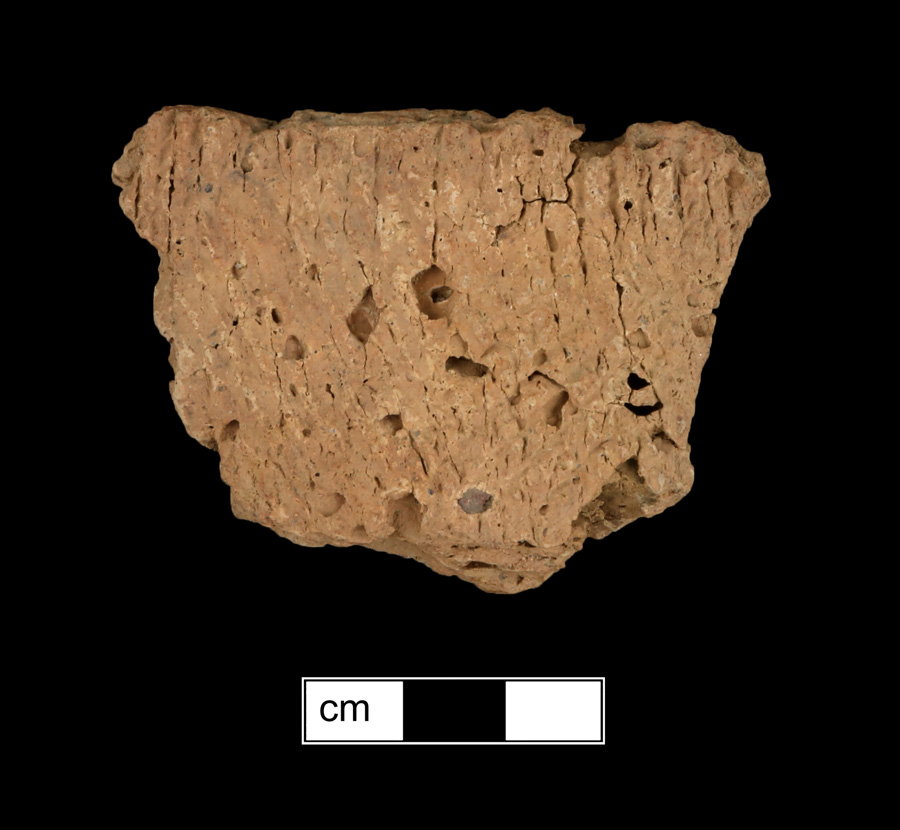 Image of ceramic, Shell Tempered Body with Cord-Marked Surface Treatment, Mockley type, Undecorated