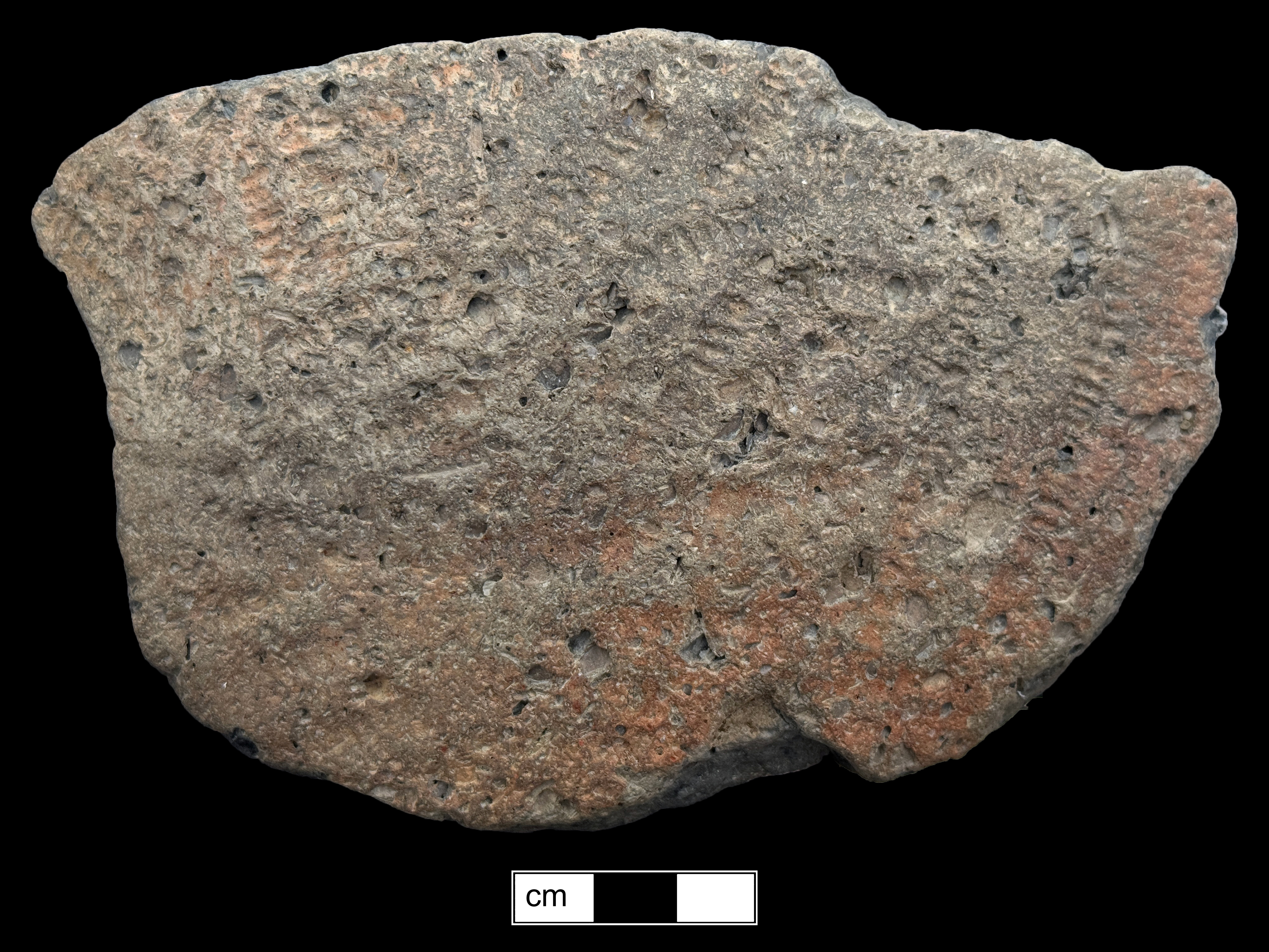 Image of ceramic, Shell Tempered base with Fabric-Impressed Surface Treatment, Mockley type, Undecorated