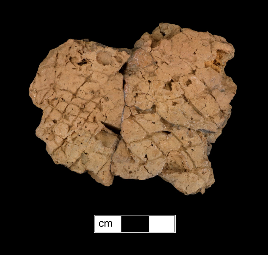 Image of ceramic, Shell Tempered Mended Body with Net-Impressed Surface Treatment, Mockley type, Undecorated