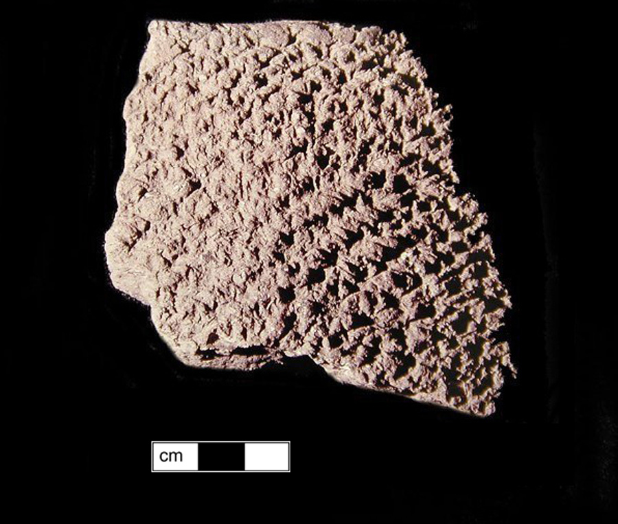 Image of ceramic, Shell Tempered Rim with Net-Impressed Surface Treatment, Mockley type, Undecorated