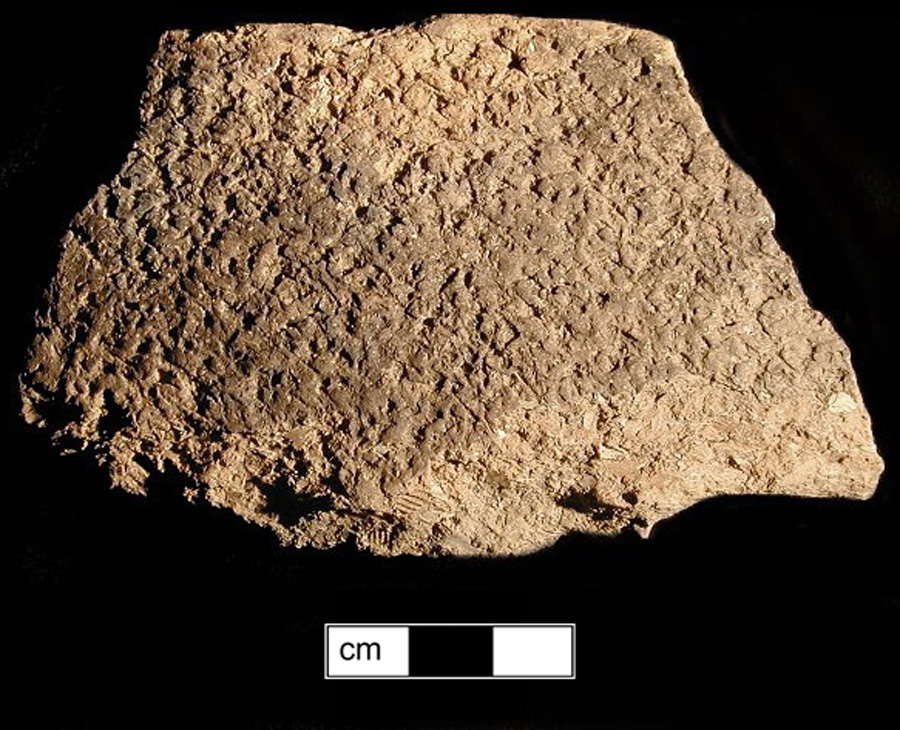 Image of ceramic, Shell Tempered Rim with Net-Impressed Surface Treatment, Mockley type, Undecorated