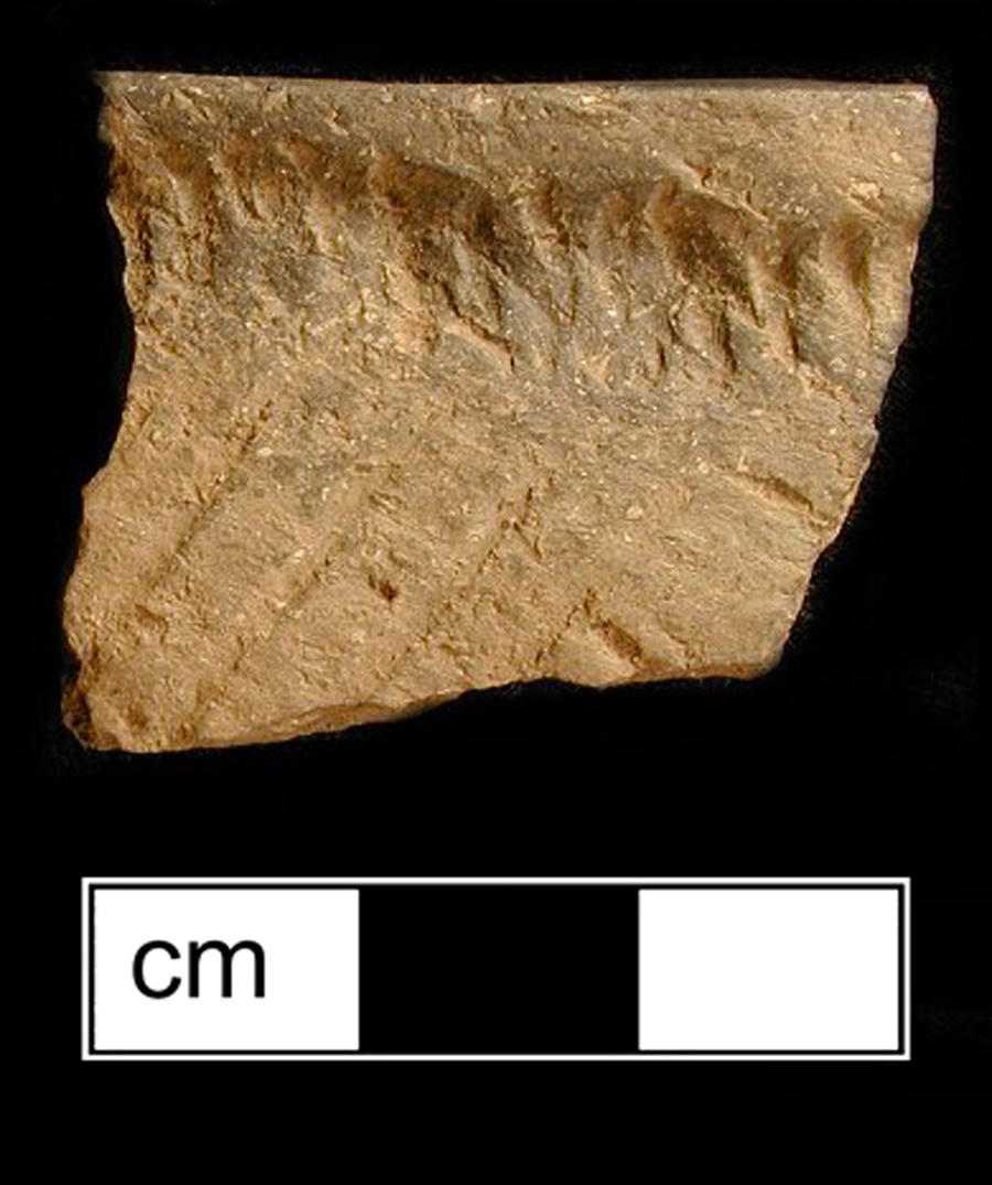 Image of ceramic, Shell Tempered Rim with Cord-Marked/Smoothed Surface Treatment, Susquehannock type, Unidentified