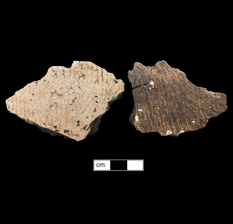 Image of ceramic, Limestone Tempered Body with Cord-Marked Surface Treatment, Page type, Undecorated