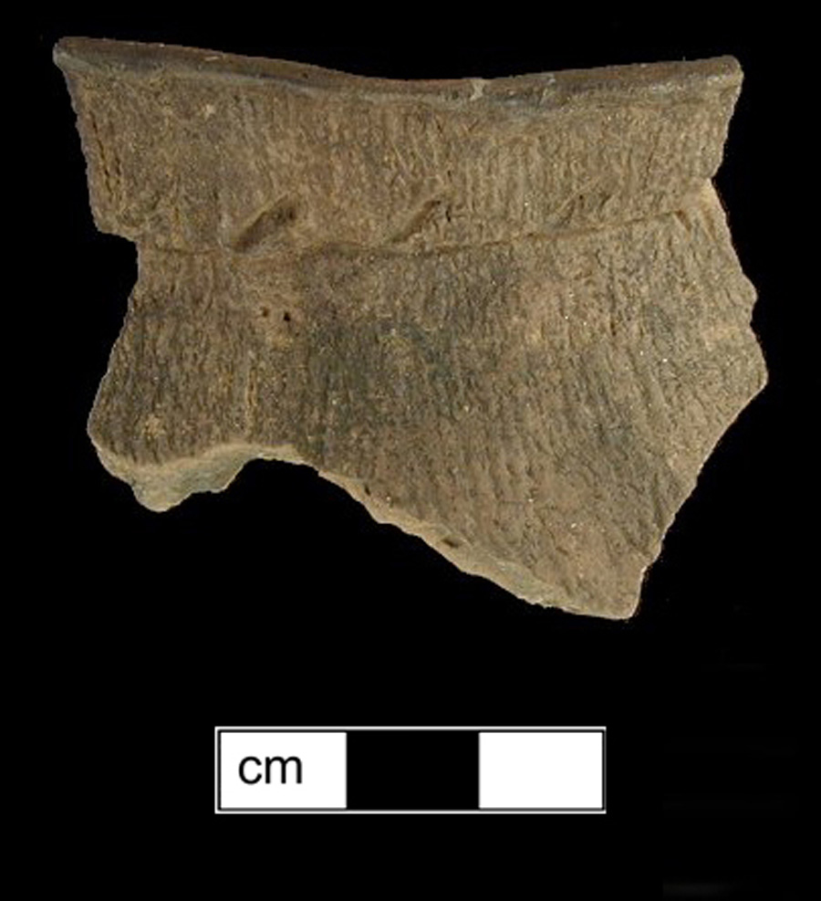 Image of ceramic, Limestone Tempered Rim with Cord-Marked Surface Treatment, Page type, Incised