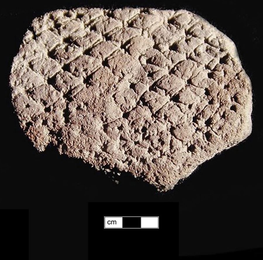 Image of ceramic, Sand Tempered Body with Net-Impressed Surface Treatment, Pope's Creek type, Undecorated