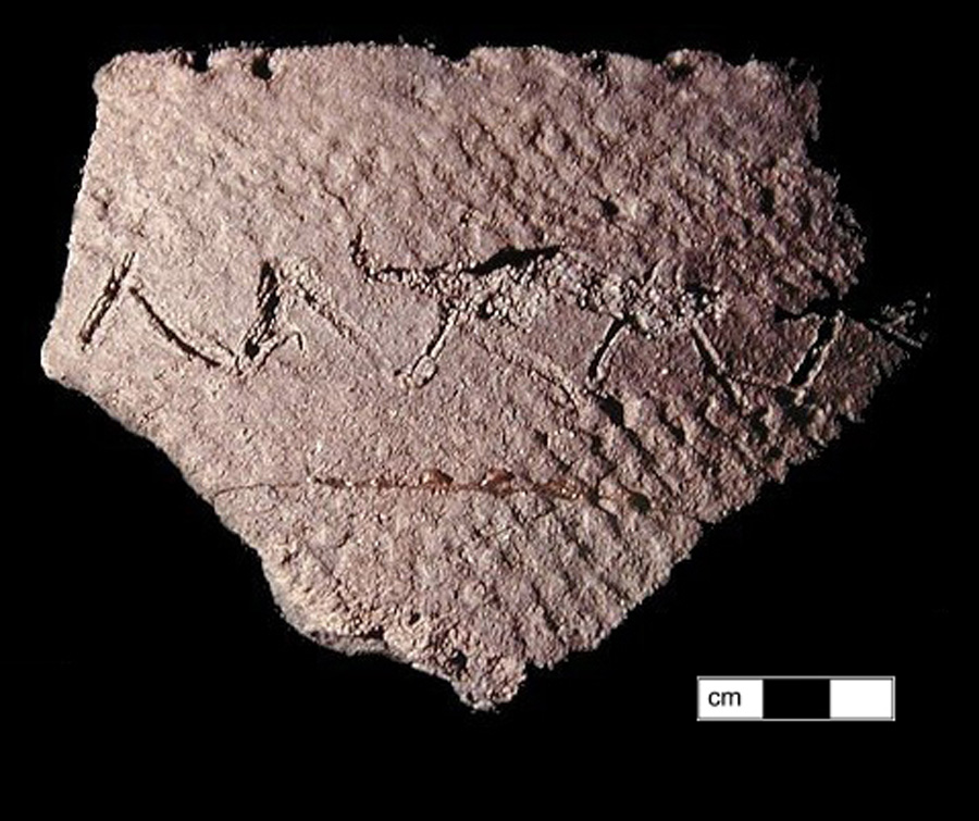 Image of ceramic, Sand Tempered Rim with Net-Impressed Surface Treatment, Pope's Creek type, Finger-Smoothed; Incised; Lip-Nicking