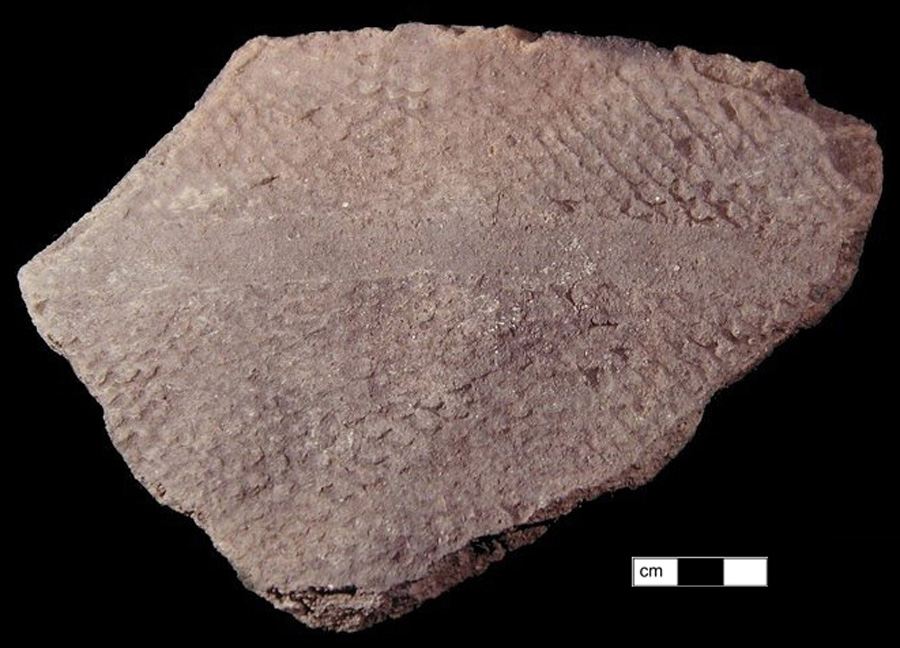 Image of ceramic, Sand Tempered Rim with Net-Impressed Surface Treatment, Pope's Creek type, Finger-Smoothed