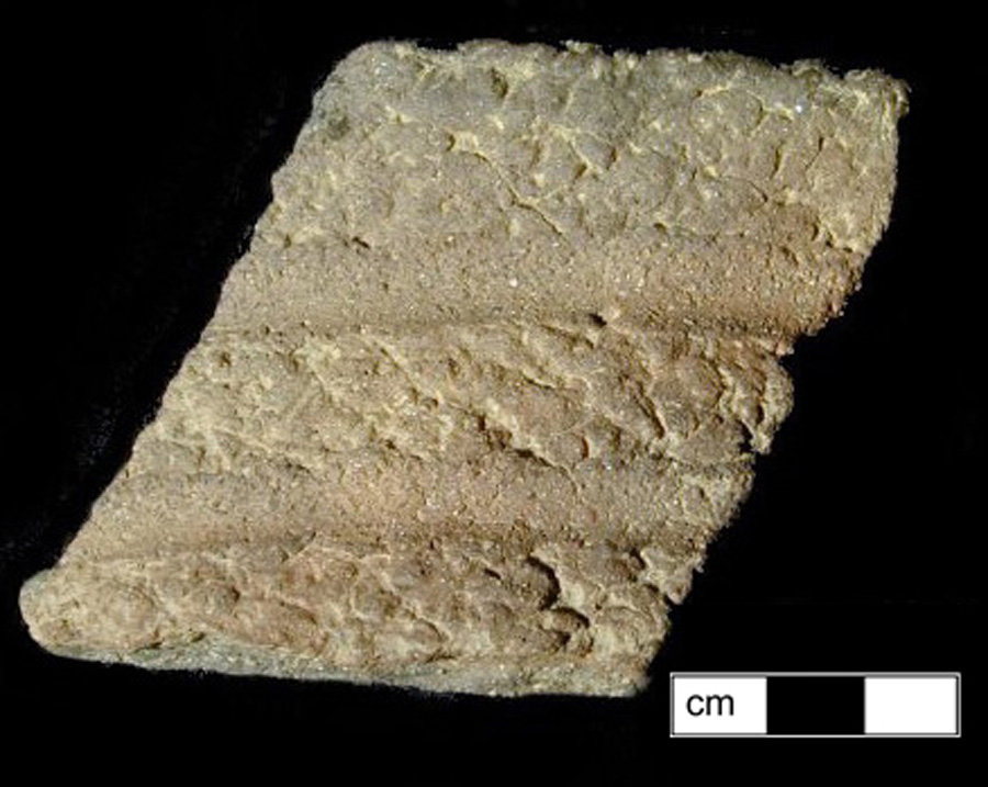 Image of ceramic, Sand Tempered Rim with Net-Impressed Surface Treatment, Pope's Creek type, Finger-Smoothed