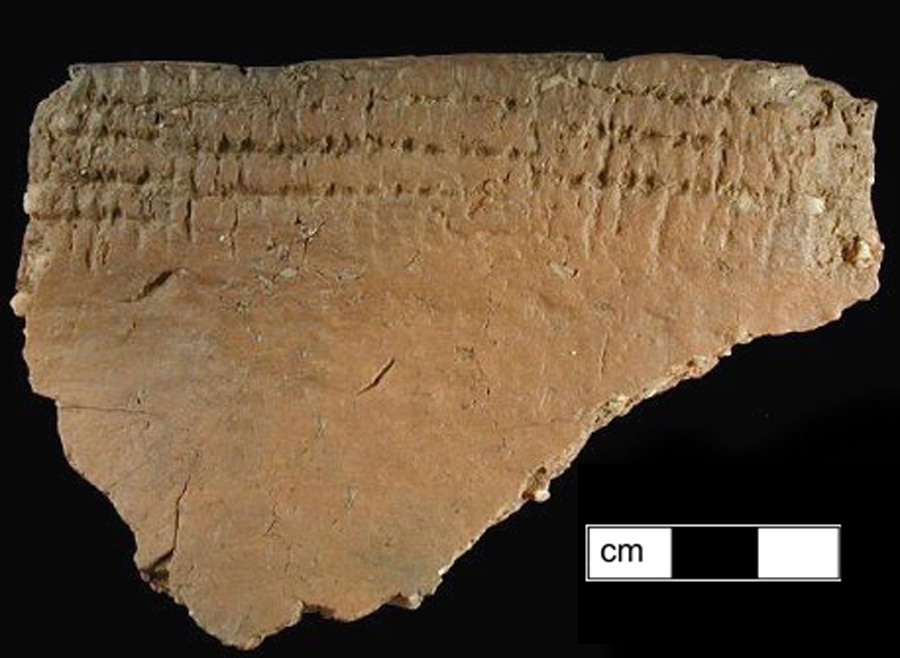 Image of ceramic, Crushed Quartz Tempered Rim with Cord-Marked/Smoothed Surface Treatment, Potomac Creek type, Cord-Wrapped Stick