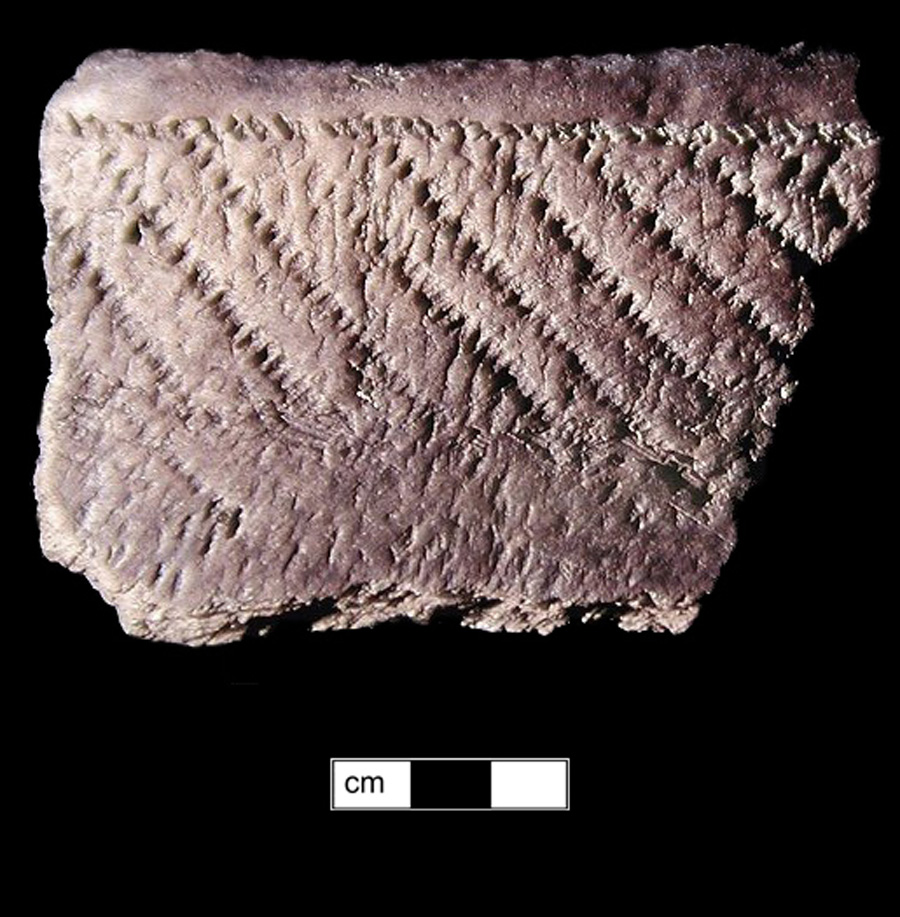 Image of ceramic, Crushed Quartz Tempered Rim with Cord-Marked Surface Treatment, Potomac Creek type, Cord-Wrapped Stick