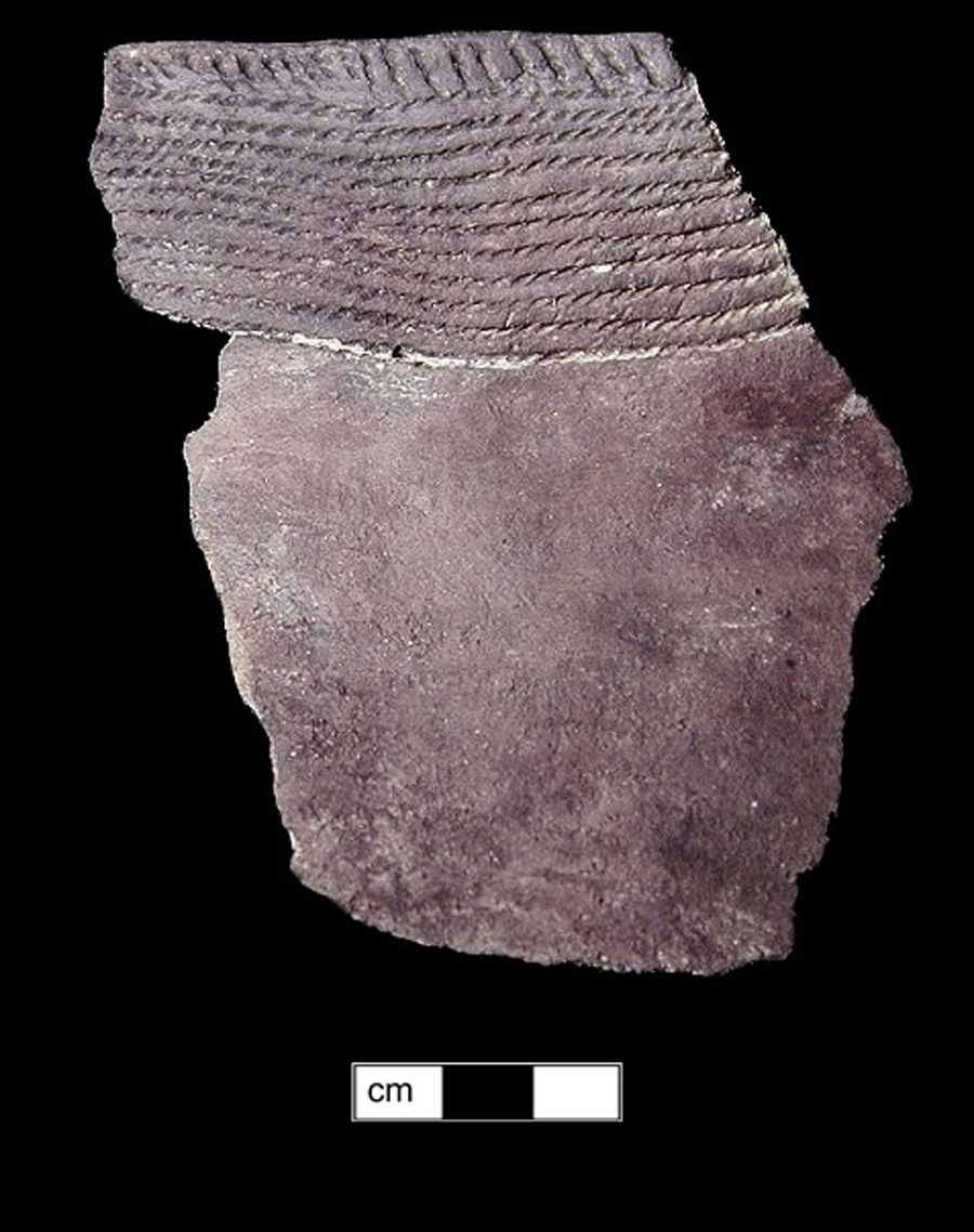 Image of ceramic, Crushed Quartz Tempered Rim with Plain/Smoothed Surface Treatment, Potomac Creek type, Cord-Wrapped Stick