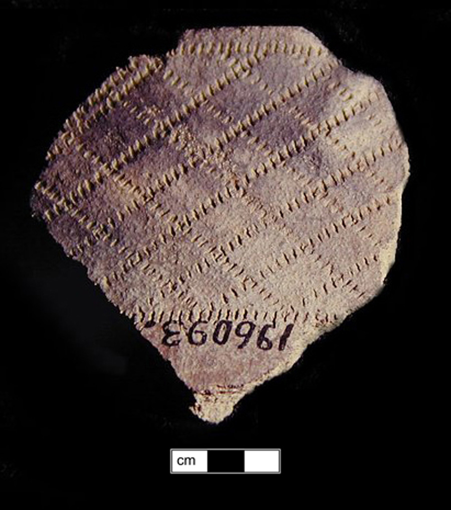 Image of ceramic, Crushed Quartz Tempered Rim with Plain/Smoothed Surface Treatment, Potomac Creek type, Cord-Wrapped Stick