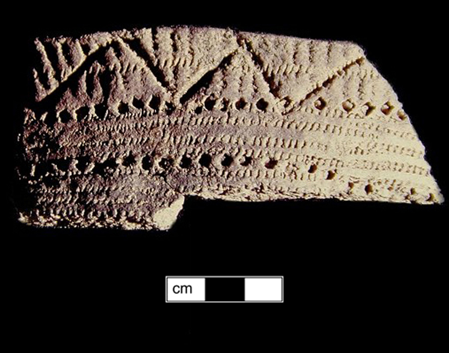 Image of ceramic, Crushed Quartz Tempered Rim with Unidentified Surface Treatment, Potomac Creek type, Cord-Wrapped Stick; Punctate