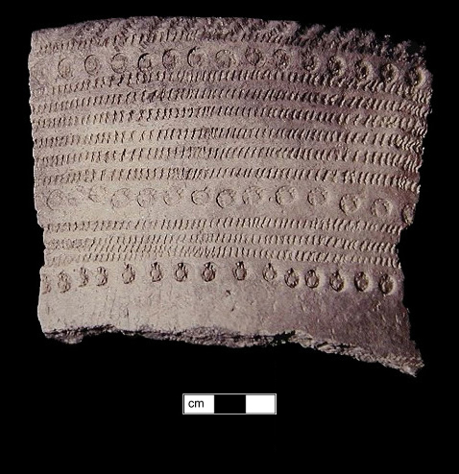 Image of ceramic, Crushed Quartz Tempered Rim with Cord-Marked/Smoothed Surface Treatment, Potomac Creek type, Cord-Wrapped Stick; Reed-Impressed