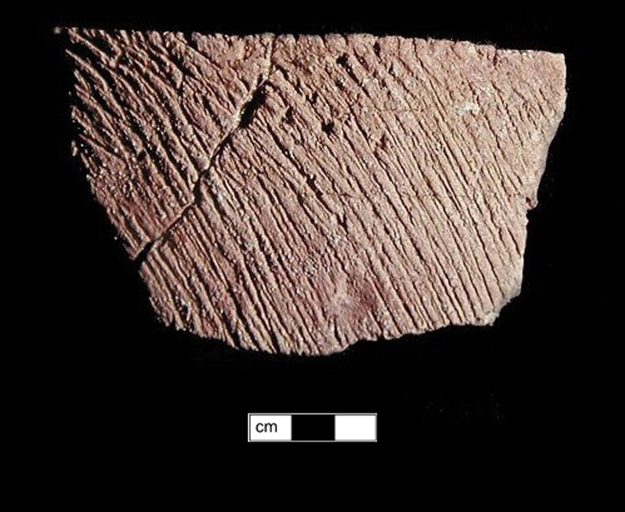 Image of ceramic, Steatite Tempered Mended Rim with Cord-Marked Surface Treatment, Selden Island type, Lip-Nicking