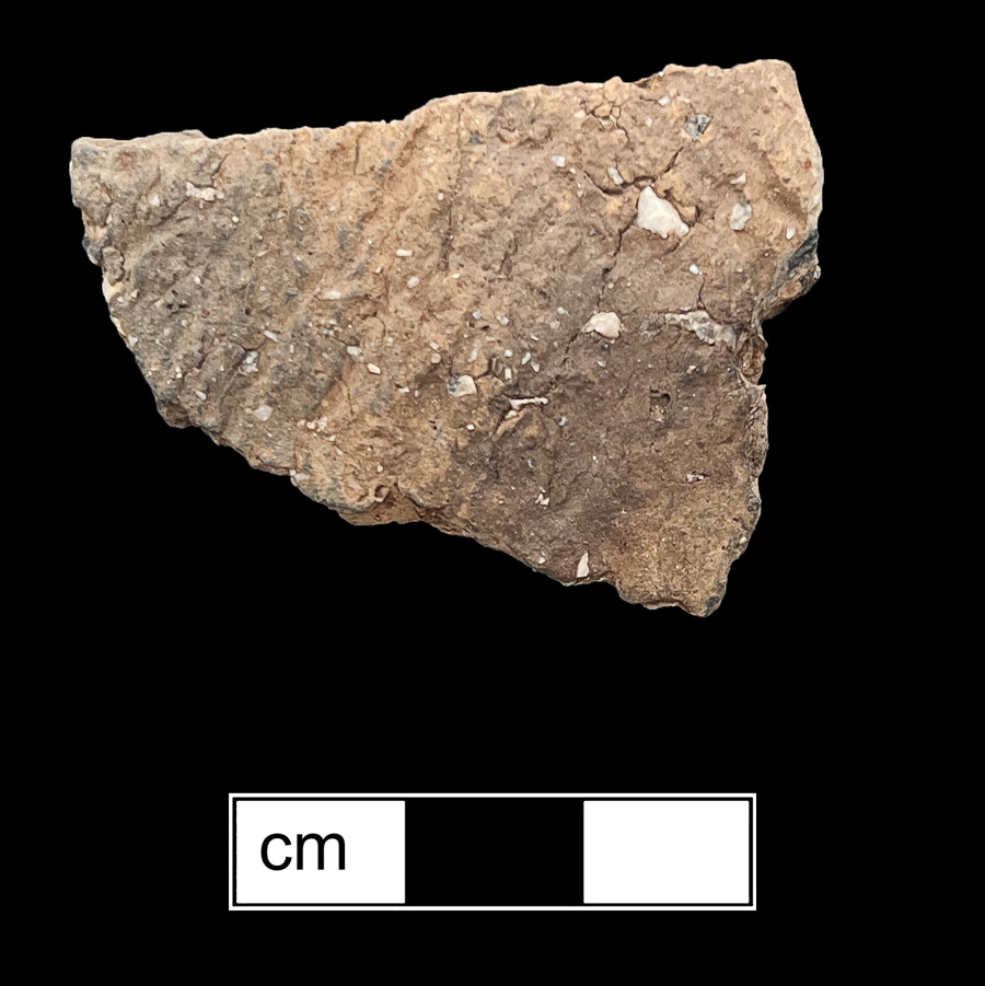 Image of ceramic, Crushed Quartz Tempered Body with Cord-Marked Surface Treatment, Shepard type, Undecorated