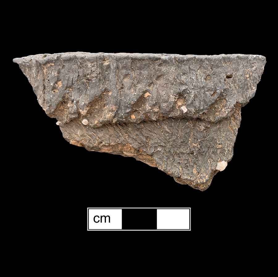 Image of ceramic, Crushed Quartz Tempered Rim with Cord-Marked Surface Treatment, Shepard type, Cord-Wrapped Stick