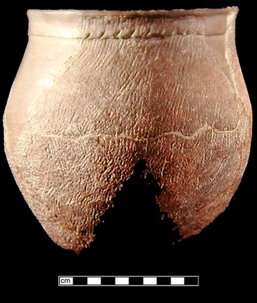 Image of ceramic, UID Tempered Mended Vessel with Cord-Marked Surface Treatment, Shepard type, Cord-Wrapped Stick