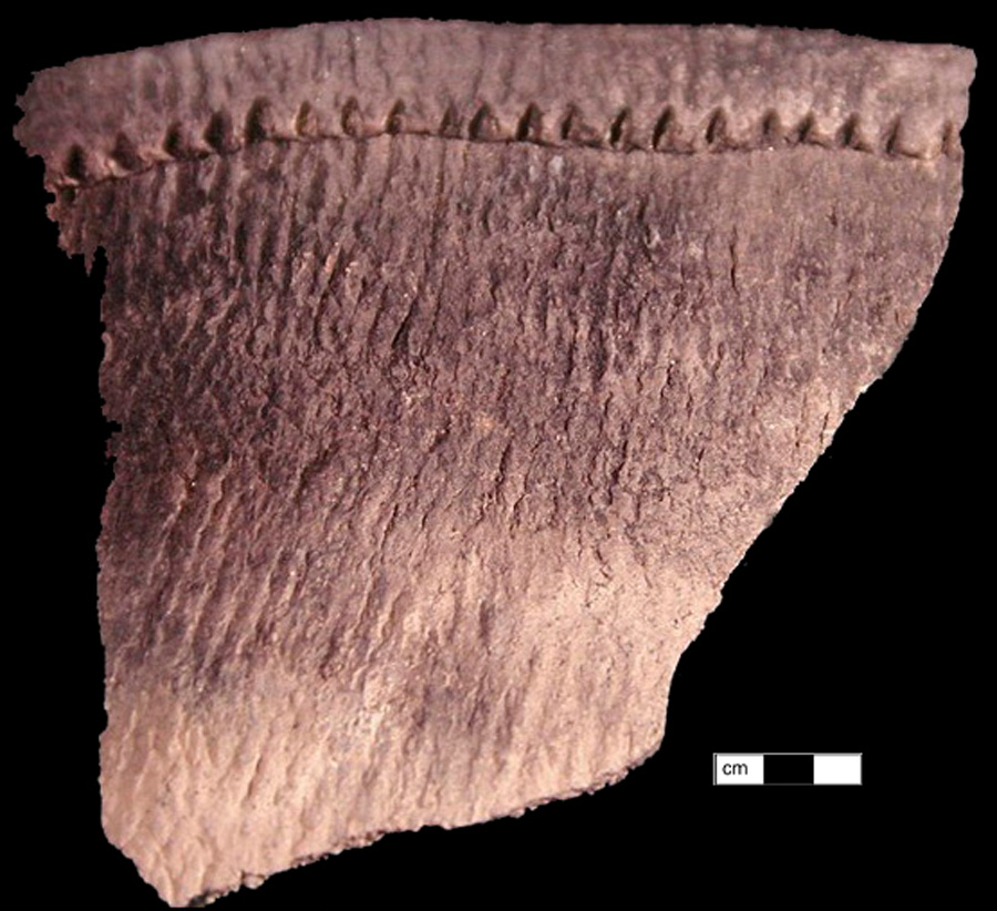Image of ceramic, UID Tempered Rim with Cord-Marked Surface Treatment, Shepard type, Notched