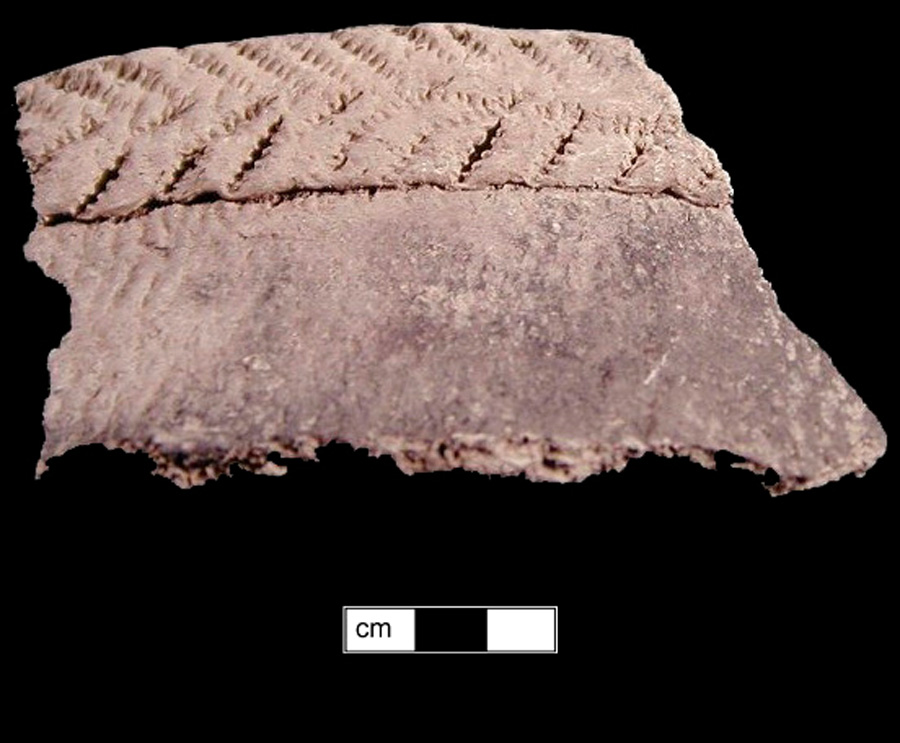 Image of ceramic, UID Tempered Rim with Cord-Marked Surface Treatment, Shepard type, Cord-Wrapped Stick