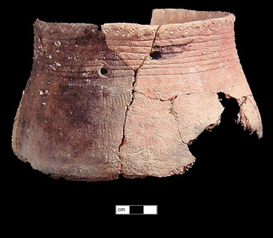 Image of ceramic, Shell Tempered Mended Body/Rim with Fabric-Impressed Surface Treatment, Townsend type, Cord-Wrapped Stick