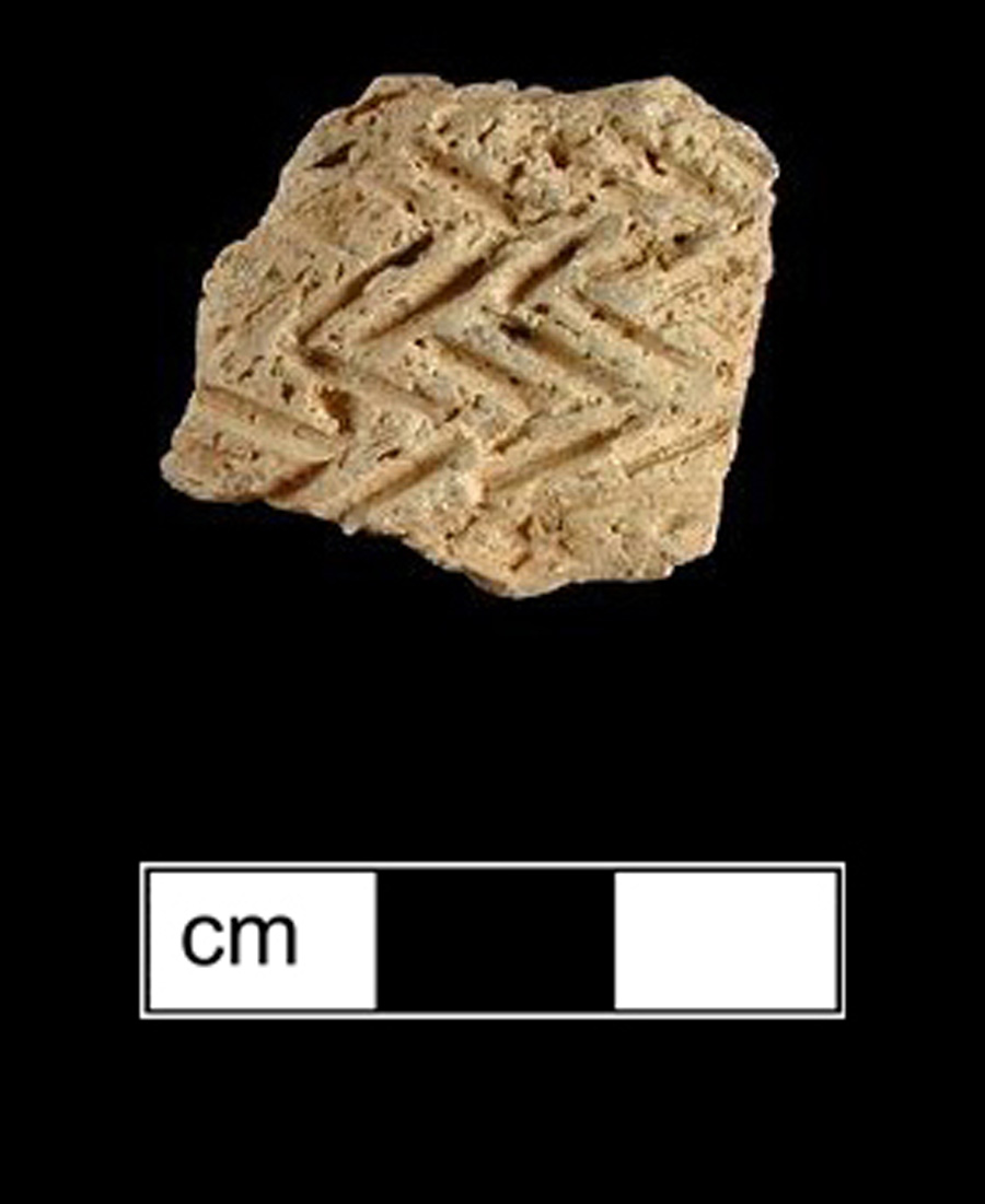 Image of ceramic, Shell Tempered Body with Plain/Smoothed Surface Treatment, Townsend type, Incised