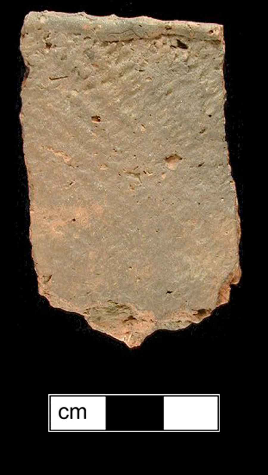 Image of ceramic, Shell Tempered Rim with Fabric-Impressed/Smoothed Surface Treatment, Townsend type, Undecorated
