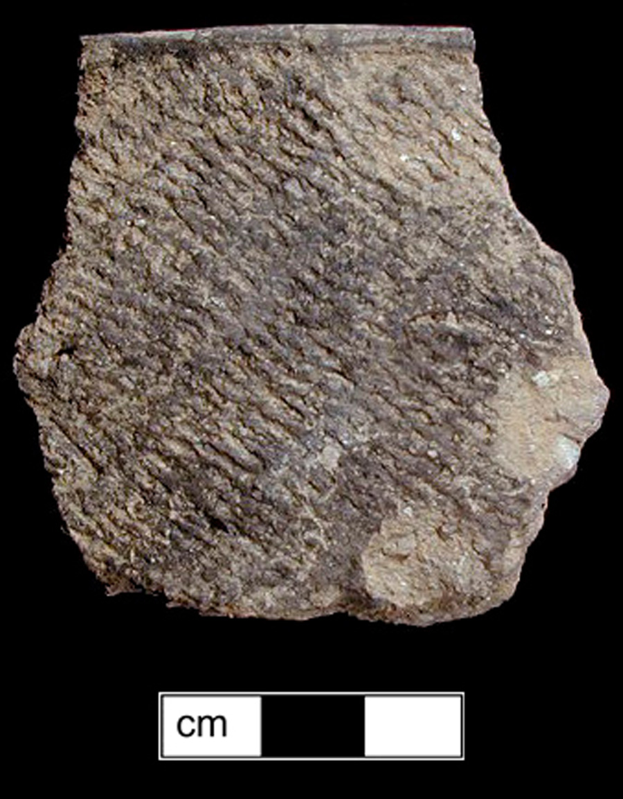 Image of ceramic, Shell Tempered Rim with Fabric-Impressed Surface Treatment, Townsend type, Undecorated