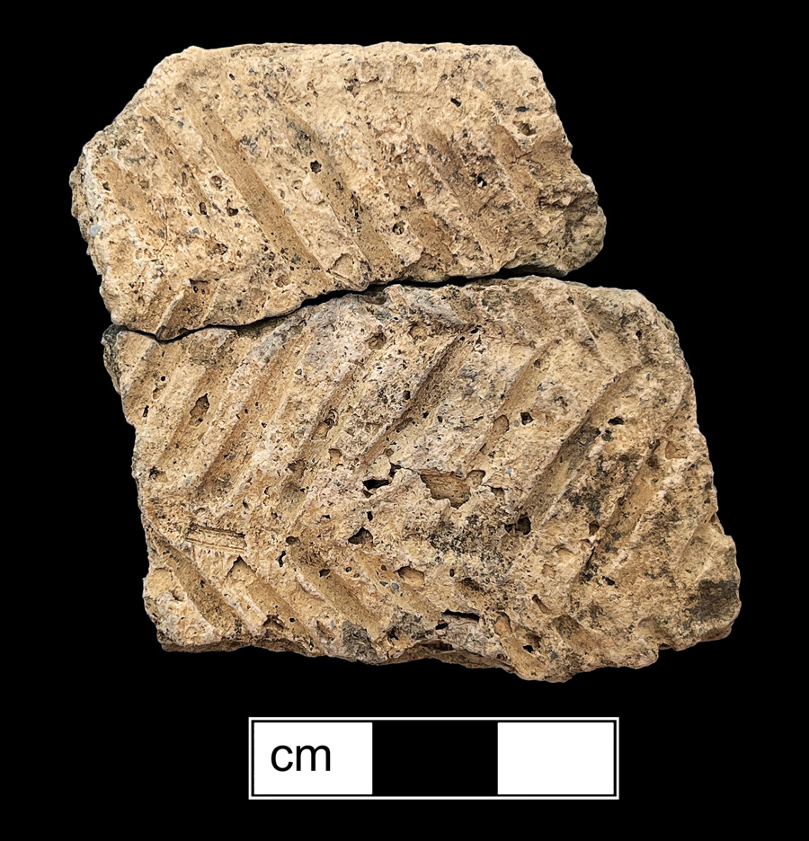 Image of ceramic, Shell Tempered Mended Body with Unidentified Surface Treatment, Townsend type, Incised