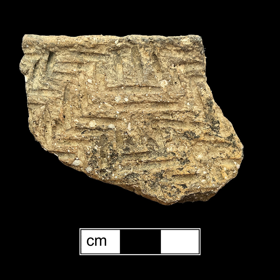 Image of ceramic, Shell Tempered Rim with Unidentified Surface Treatment, Townsend type, Incised