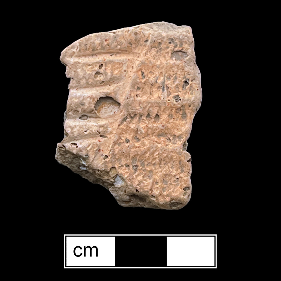Image of ceramic, Shell Tempered Body with Fabric-Impressed Surface Treatment, Townsend type, Incised; Cord-Wrapped Stick