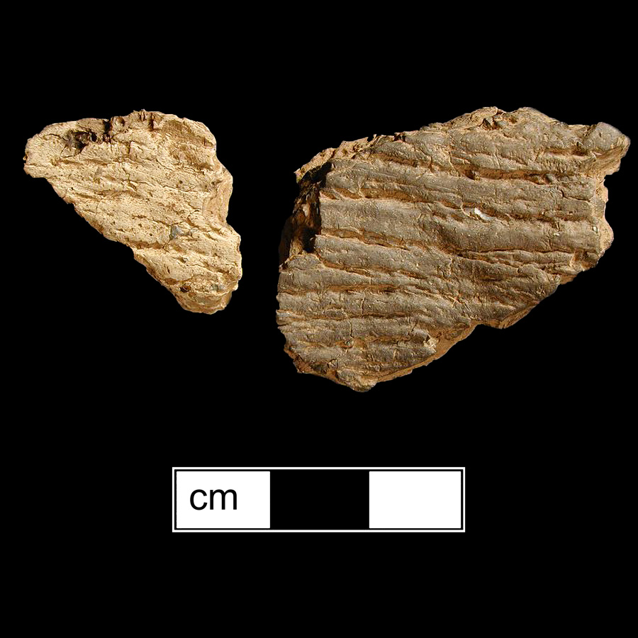 Image of ceramic, Crushed Rock Tempered Body with Cord-Marked Surface Treatment, Vinette type, Undecorated
