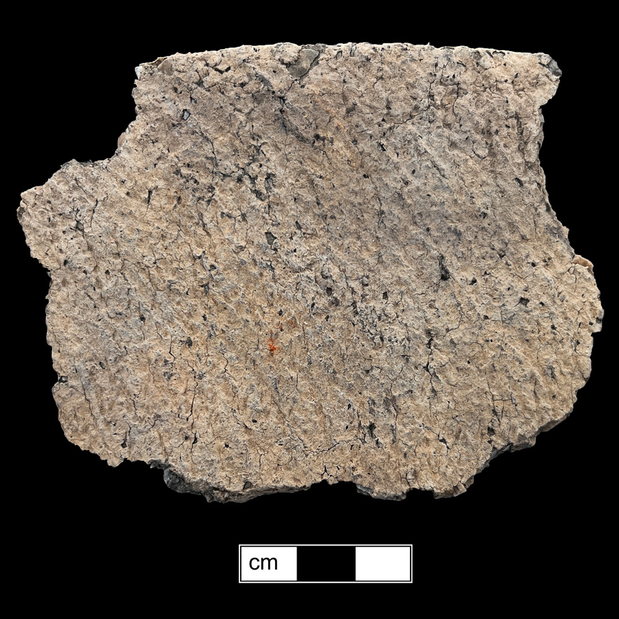 Image of ceramic, Crushed Rock Tempered Rim with Cord-Marked Surface Treatment, Vinette type, Undecorated