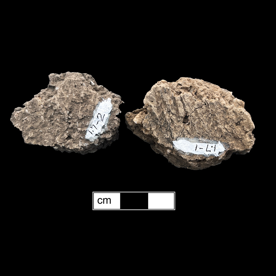 Image of ceramic, Crushed Rock Tempered Body with Cord-Marked Surface Treatment, Vinette type, Undecorated
