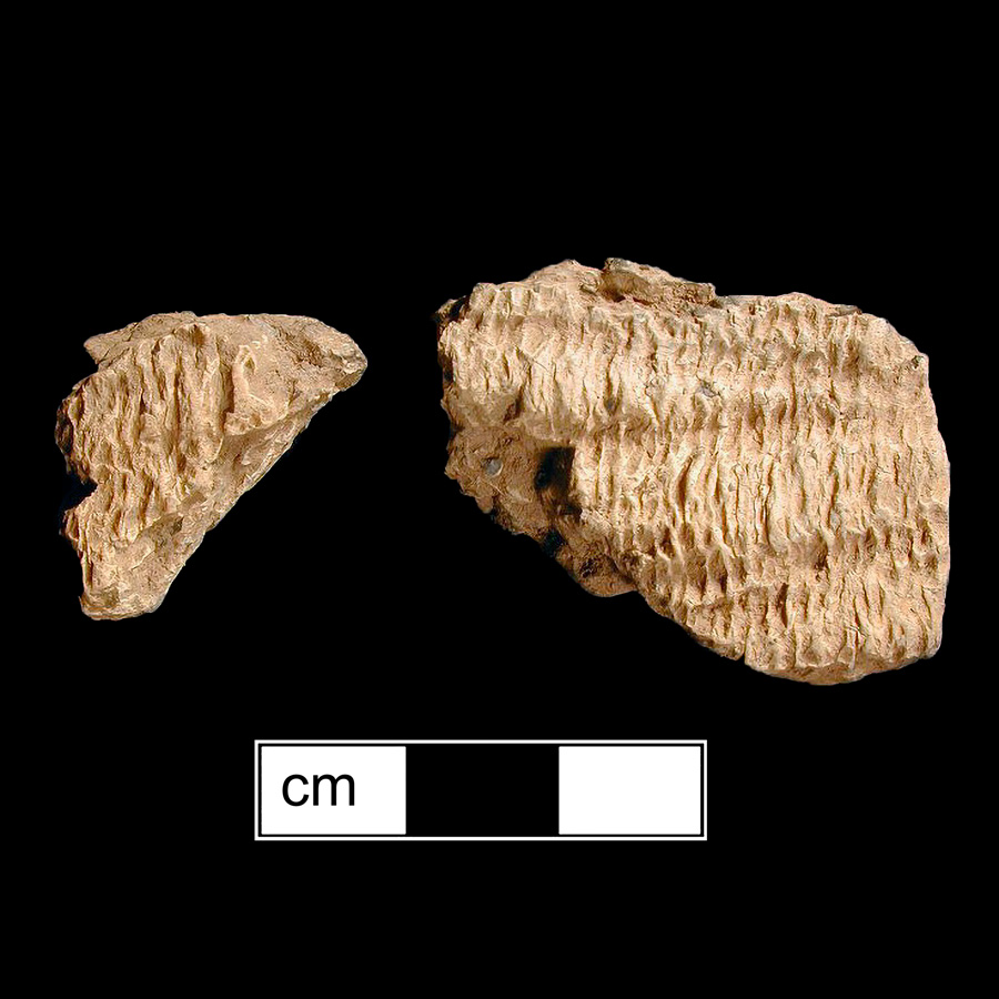 Image of ceramic, Crushed Rock Tempered Body with Fabric-Impressed Surface Treatment, Vinette type, Undecorated