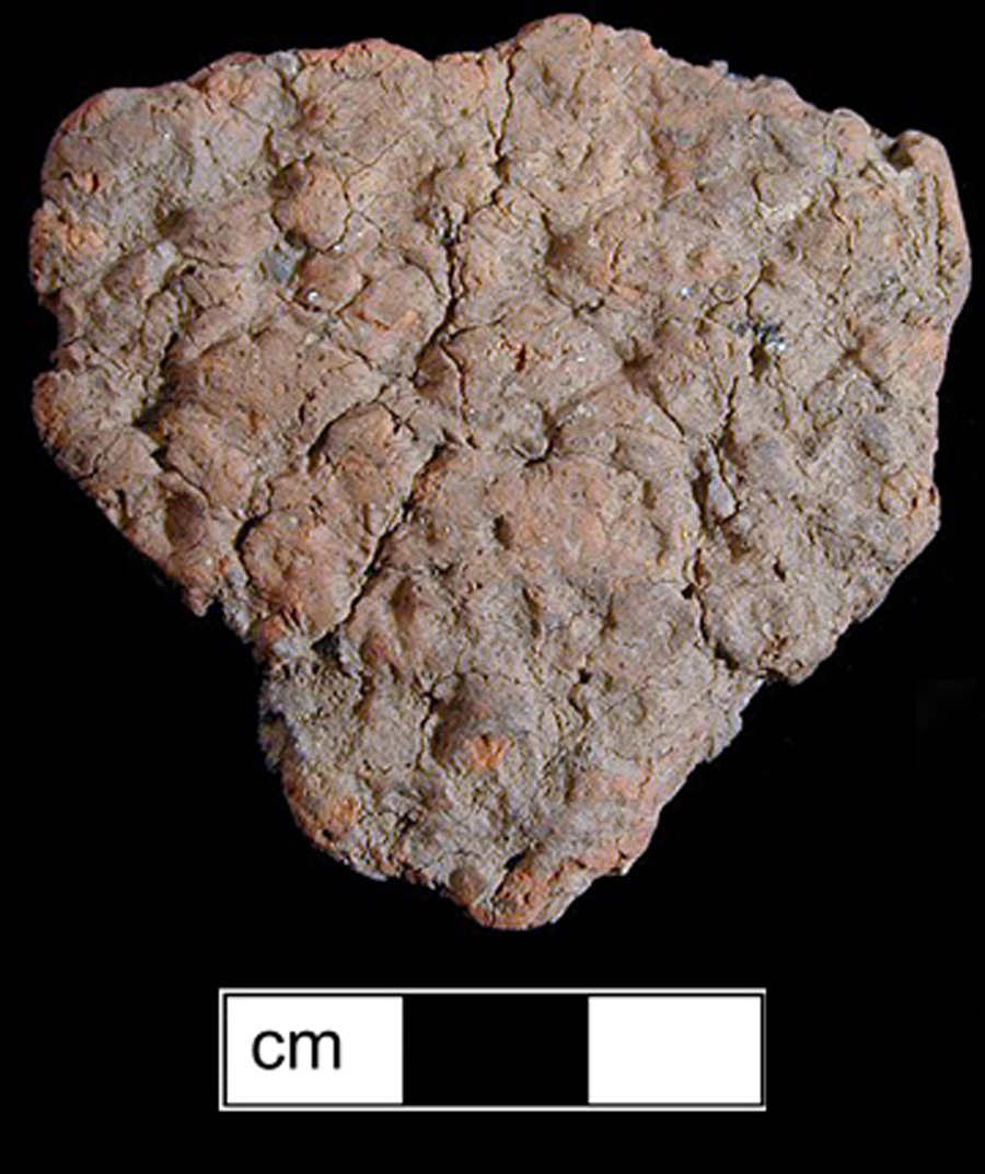 Image of ceramic, Crushed Quartz Tempered Body with Net-Impressed Surface Treatment, Wolfe Neck type, Undecorated