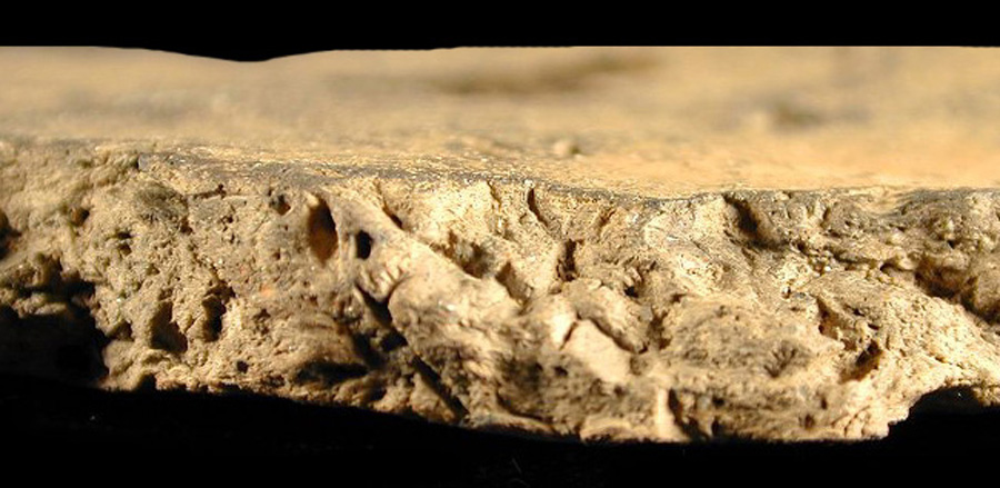 Image of ceramic, Shell Tempered Body with Plain/Smoothed Surface Treatment, Yeocomico type, Undecorated