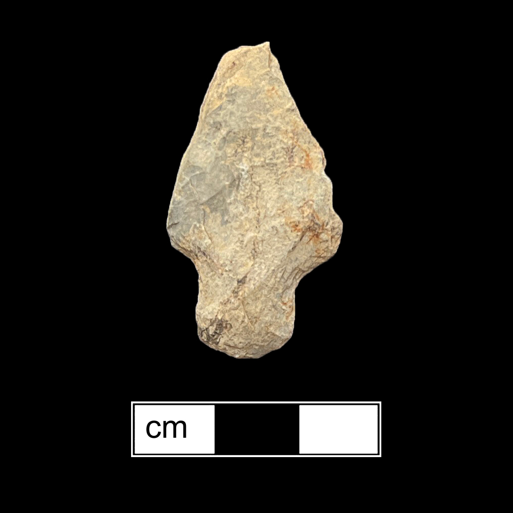 Image of stone projectile point made of Rhyolite, Stemmed shape, with a Expanding stem, Straight blade, and Convex base shape. Adena type.