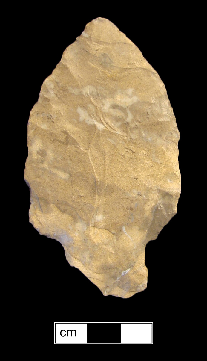 Image of stone projectile point made of Jasper, Stemmed shape, with a Expanding stem, Excurvate blade, and Convex base shape. Adena type.