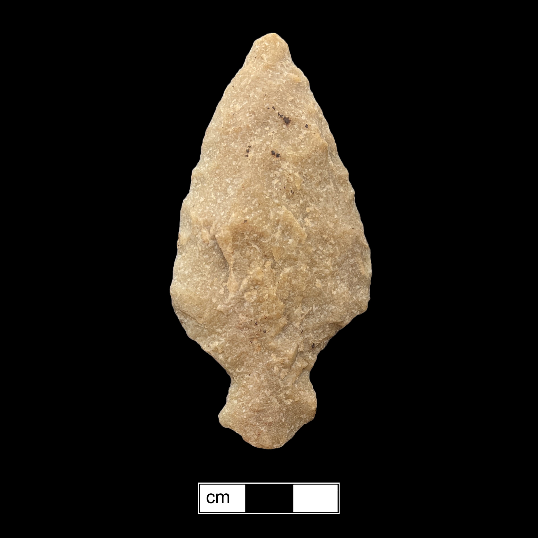 Image of stone projectile point made of Quartzite, Stemmed shape, with a Expanding stem, Excurvate blade, and Convex base shape. Adena type.