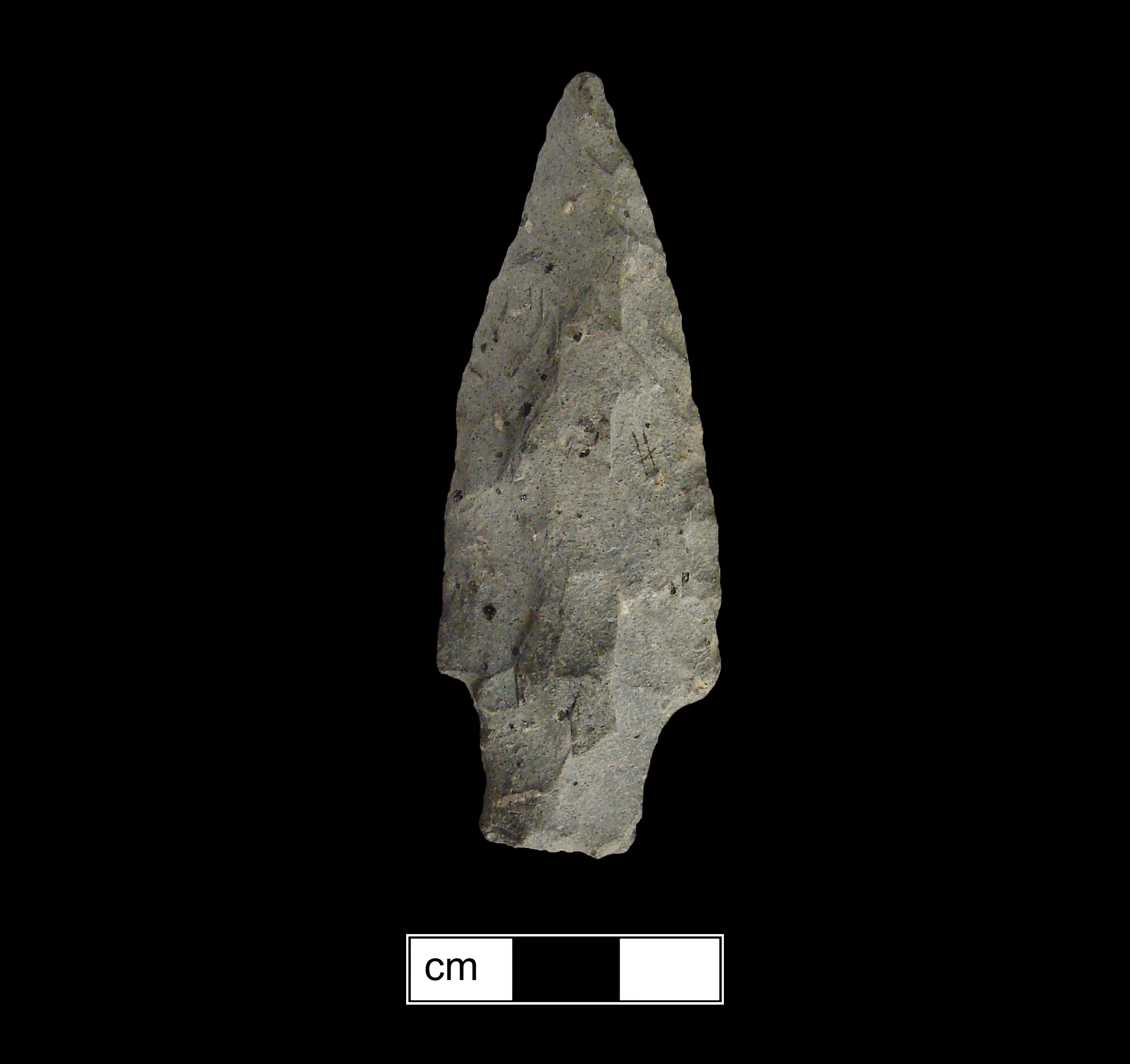 Image of stone projectile point made of Rhyolite, Stemmed shape, with a Straight stem, Excurvate blade, and Straight base shape. Bare Island type.